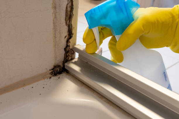 Best Mold Removal for HVAC Installations  in Montgomery, GA